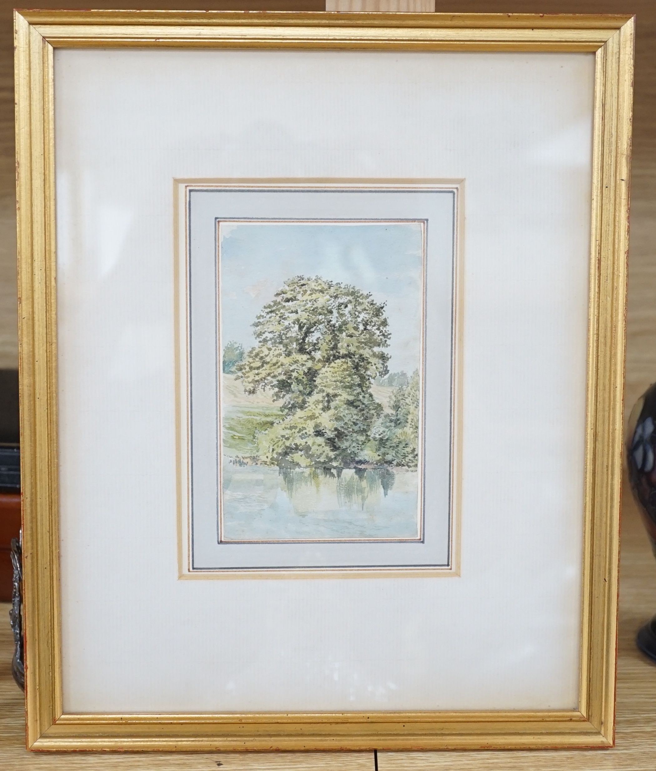Clark Rampling (c.1850), An oak by a pool Hatton Water, Lancashire, watercolour, 13 x 8.25cm